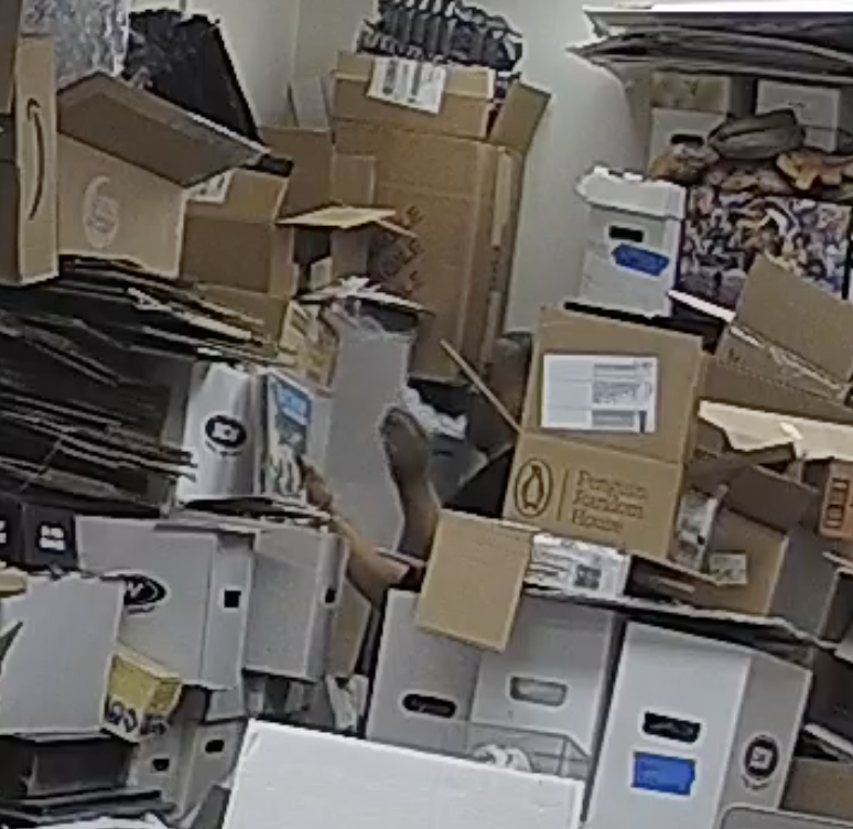 Surveillance capture 16